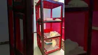 Cats cage ideas#animal #catlover #viralvideo #pet #cat #cutecat #aesthetic