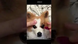Crafting a Miniature Memorial for a Faithful Pet Dog #FaithfulFriend #DogTribute
