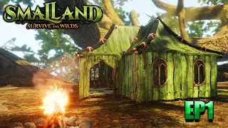 Smallands Journey Begins: Building Our New House EP1