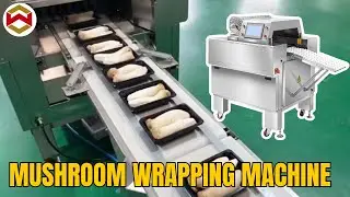 WIN-WIN PACK High Speed Mushroom Packing Machine: Weigh, Label & Pack 25 Packs/Min