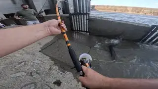 Fishing monsters fish at Cordell hull dam Carthage TN