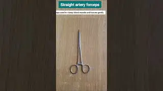 What are straight artery forceps used for?//Straight artery forceps ka image