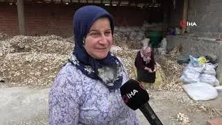 Taşköprü Sarımsağını Üreticisi de Tüketicisi de Pahalı Buluyor