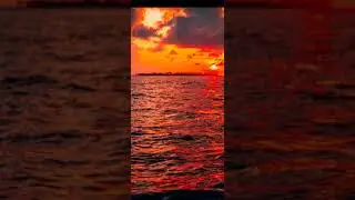 Andy Panda (Эндшпиль) - Orange sunset