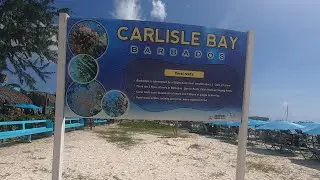 Barbados Bridgetown | Savvy On The Bay - CARLISLE BAY