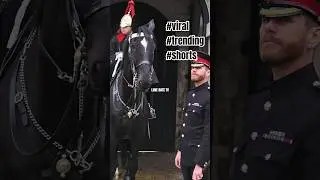 The King's Life Guards #youtubeshorts #shorts #shortvideo #youtube #kingsguard #royalguard