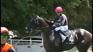 RACE 5 WAVERLEY - NEW ZEALAND 28 JAN 2026