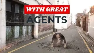 Superhero Agent's at Procopio Real Estate