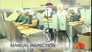 Buy Pecans Online_Shelled Pecans Prices _Marquez Pecans_ Marquez Pecans YouTube720x480 1