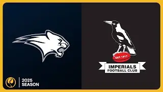 Imperials v Kojonup: Round 14 Season 2025 - Lower South West Football League