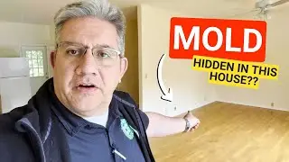 Inspecting a House for Mold - Instascope and Mold Inspections With Cleaner Guys