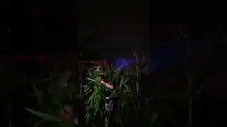 halloween horror nights 2017, Scarecrow the reading queue line