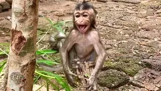 Very Pity Baby Aiden crying seizure loudly on the tree, What wrong happening on Aiden?