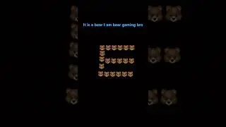 Yas bear it is the best