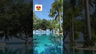 Waterpool relaxing bird sound videoshort | #birdssound #relaxingsoothen #waterpool #Pool #Shorts