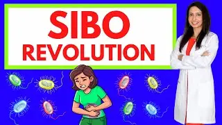 The SIBO Revolution: A Doctor&rsquo;s Journey Through Bloating, IBS, and True Gut Healing