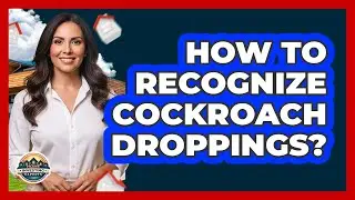 How to Recognize Cockroach Droppings?