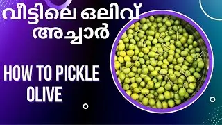 Olive Pickling Malayalam video