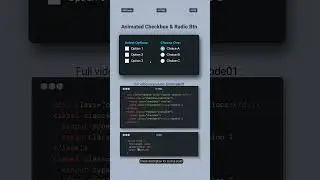 Animated Checkbox & Radio Button CSS Tutorial | Cool Hover Effects 🎨 (Step-by-Step) #cssanimation