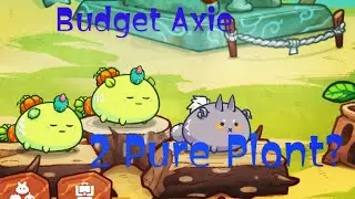 Plant Plant Beast Axie Infinty