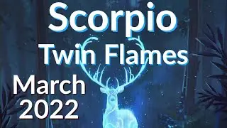 SCORPIO TWIN FLAMES MARCH 2022 💥 Forgiveness Will Transform The Connection