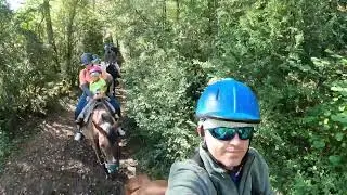 CABALLOS DE SARVISE, HUESCA