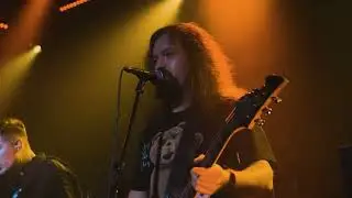 ШардаМ - Волки live клип
