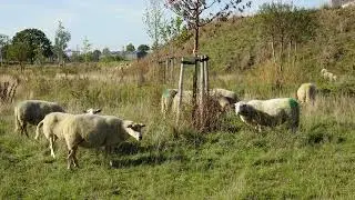 Fietsroute Rondje Greenport Venlo Noord