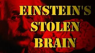 Einstein's Stolen Brain | Strange History