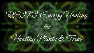 Reiki for Healthy Plants & Trees | Timeless Energy Healing