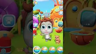 My talking bob cat #shortvideo #2023