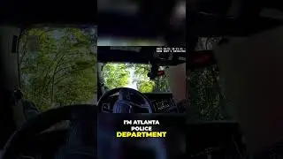 Commercial Auto Insurance Check: Police Verify Coverage