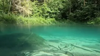 Estonia / Blue Springs of Saula