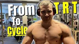 What happens when you go from TRT to a small cycle - 125mg to 250mg