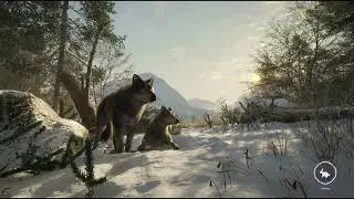 COTW - Askiy Ridge Saturday Hunting