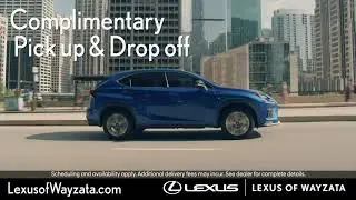 Lexus Winter Promotion | Lexus of Wayzata