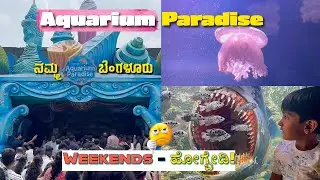 Aquarium Paradise Bengaluru 🐠 | Weekends ಮಾತ್ರ ಹೋಗ್ಲೇಬೇಡಿ 🙅🏻&zwj;♂️ | Fun World Bangalore