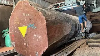 Factory Wood Processing | Operating Extra Large Saws, Good Tools & Machinery Make Work Easy