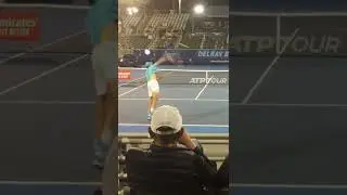 Ivo Karlović serve and volley 🎾