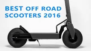 3 Best Electric Off Road Scooters | Fast Adult Petrol Scooters