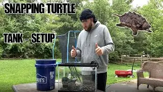 Snapping Turtle Tank Setup - *Upgraded*