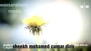 qiso gaaban sheekh dirir