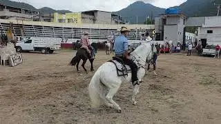 Caballos Bailadores - Juárez Michoacan- 2025 Septiembre 16