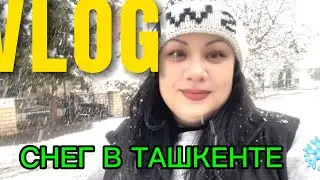 Неожиданный снег в Ташкенте ❄️ Наш семейный влог