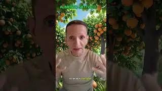 Alimento Sattvico