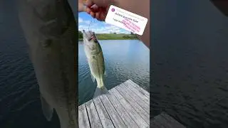 White Fluke!! 😮&zwj;💨 | BassBros! | #bassbros @KentonBrown-g3s #bassfeatured #bassfishing #fishing