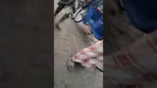 Highlight 0:00 - 1:34 from Sazim & Pets Lover is live! গরু হাট