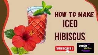 REFRESHING HEALTHY HIBISCUS ICE TEA | DKROW YOUTUBE | MAKE MONEY ONLINE
