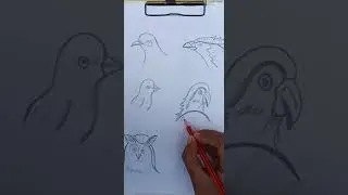 birds face bnana sikhe#short #shortsvideo