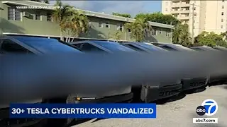 Parking lot full of Cybertrucks spray-painted with anti-Musk graffiti